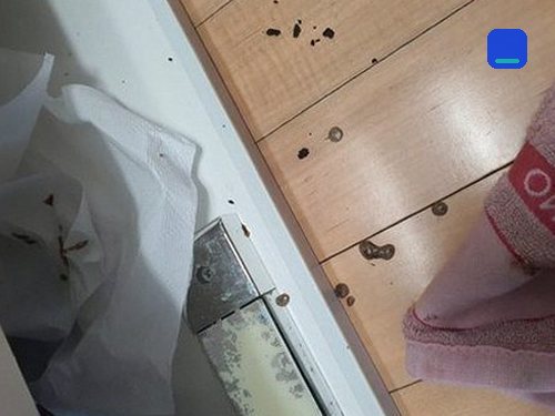 싱크대막힘 길동 하수구막힘 싱크대막힘